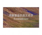 (寓意好的英文单词好寓意的英文谐音店名有哪些)