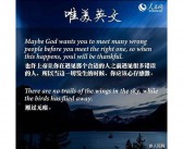 唯美的英文句子