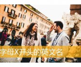qq英文名有哪些？