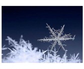 “雪花”英语怎么说 雪花的英语翻译是 snowflake