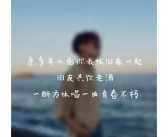 骂人的英文句子