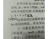 英语中的courage 英语单词
