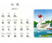 鹅的英文