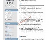 英文简历模板word