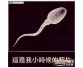 我回来了英文