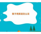 时尚用英语怎么时尚的英文说？