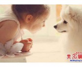 最新最受欢迎的男孩英文名大全