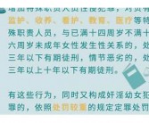 不可抗力英文