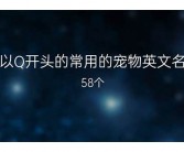 常用的英文名