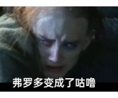 蓝光加长版 王者无敌」蓝光加长版vs 公映黑鹰坠落高清英文版版