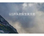 s开头的英文