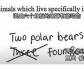 搞活动用英语活动的英文怎么说