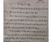 关于爱好的英语作文