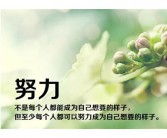 放弃英文