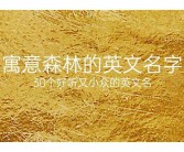 【有什么寓意好的英什么英文文名字】寓意好的英文名字有哪些