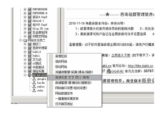 英文站群与英文站群