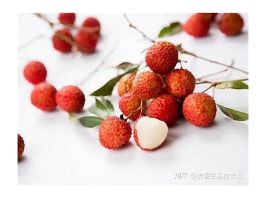 荔枝的英文与英文