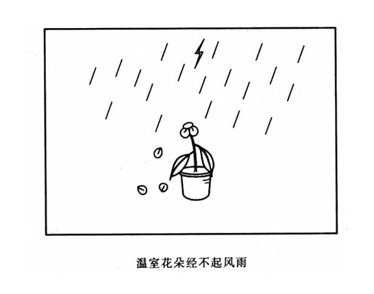 自信的英语作文 The Importance of Self