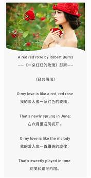 关于爱情的英文文章与英文