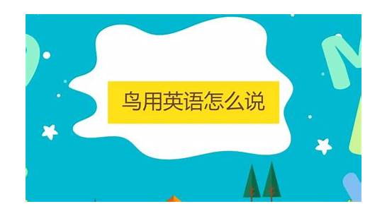 野餐英语怎么说