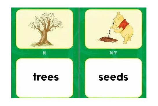 环保英文怎么说