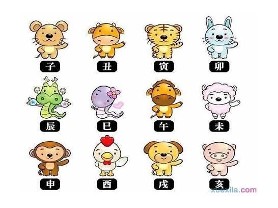 十二生肖英文与英文