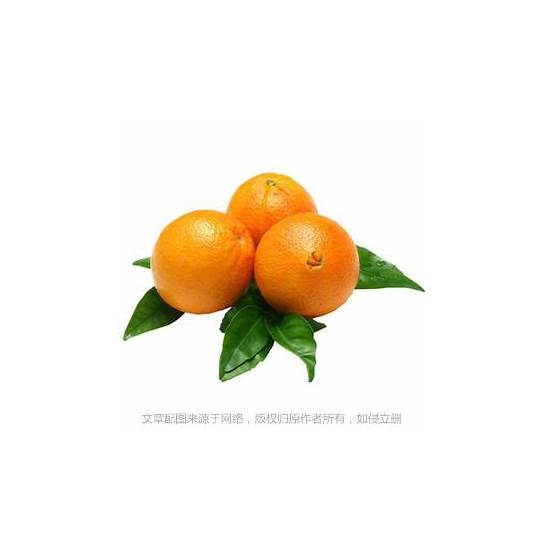 橙子的英文与英文