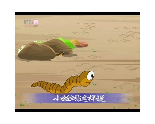 毛毛虫的英文怎么说(蝴蝶的英文怎么说?)