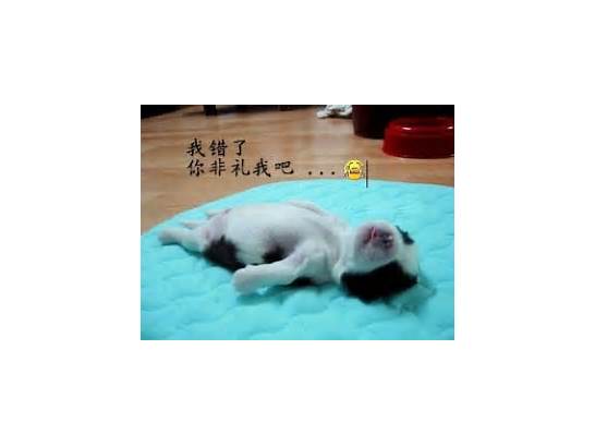 我错了！说“抱歉”的10种英语表达方式