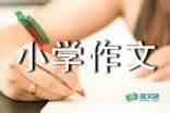 关于春天的英语作文（精选5篇）