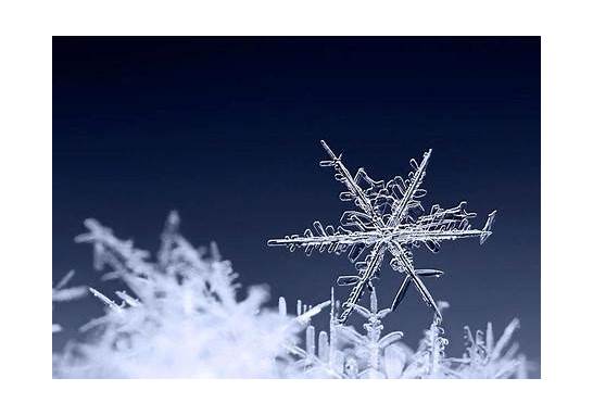 “雪花”英语怎么说 雪花的英语翻译是 snowflake