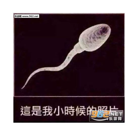 我回来了英文与英文