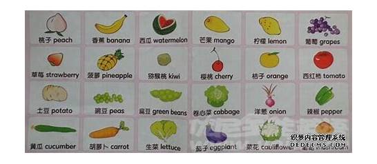 葡萄的英文单词与英文