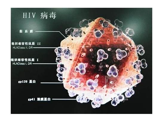 艾滋病简称是什么